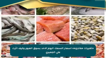 «تغيرات مفاجئة» أسعار السمك اليوم الأحد بسوق العبور وكيف أثرت على الجمبري
